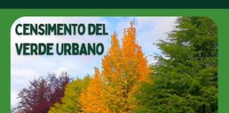 censimento verde urbano