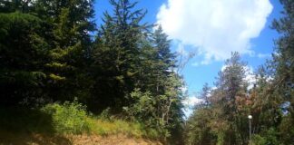 Campobasso, ordinanza di riapertura via Matris dopo l’intervento via matris