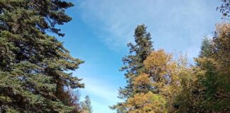 autunno altomolisano