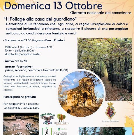 il foliage casa del guardiano 13 ottobre 2024