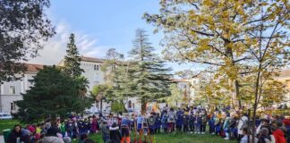 giornata degli alberi campobasso