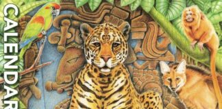 calendario cities 2025