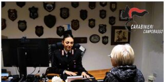 carabinieri campobasso denuncia