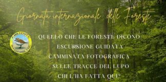 giornata delle foreste 2025