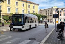 autobus campobasso
