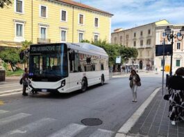 autobus campobasso