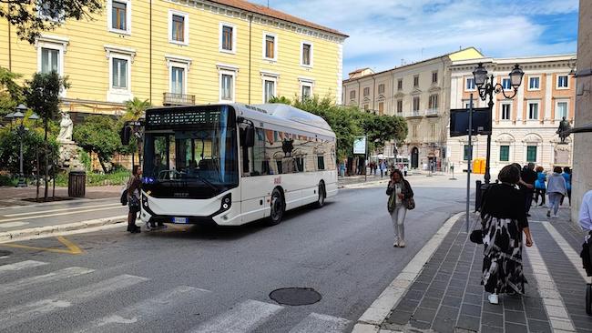 autobus campobasso