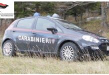 carabinieri forestali
