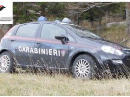 carabinieri forestali
