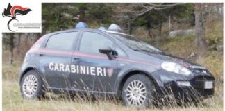 carabinieri forestali