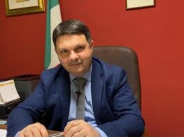 daniele saia