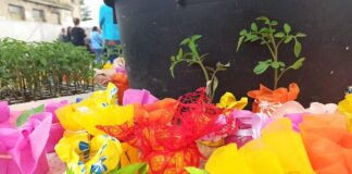 festa di primavera