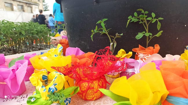 festa di primavera