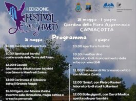 festival dell'awen 2025