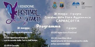 festival dell'awen 2025