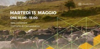 il tratturo svelato 13 maggio 2025