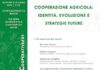lezioni cooperative