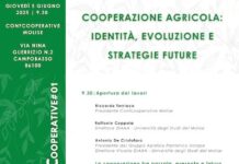 lezioni cooperative