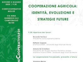 lezioni cooperative