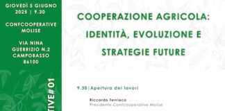 lezioni cooperative