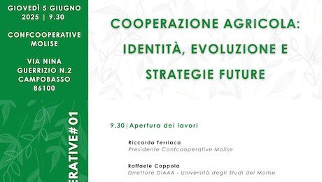 lezioni cooperative