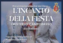 l'incanto della festa libro