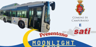 moonlight bus campobasso