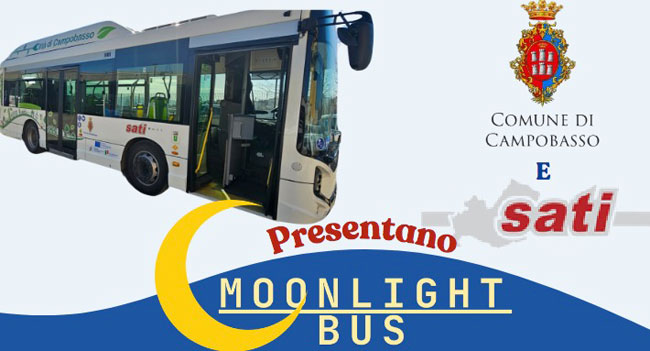 moonlight bus campobasso