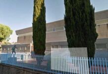palasport di tarquinia