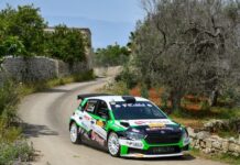 passaggio tra ulivi salentini per testa