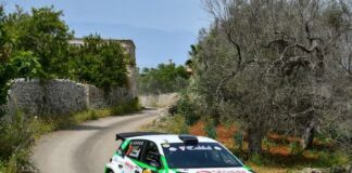passaggio tra ulivi salentini per testa