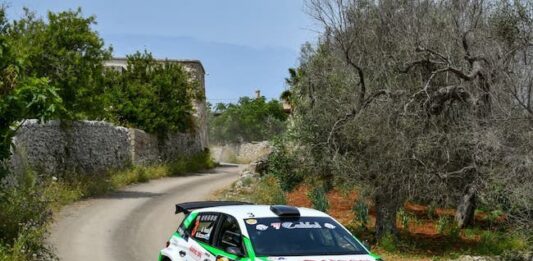 passaggio tra ulivi salentini per testa
