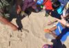 studenti spiaggia termoli
