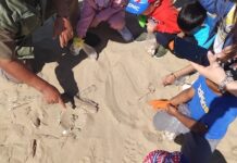 studenti spiaggia termoli