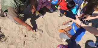 studenti spiaggia termoli