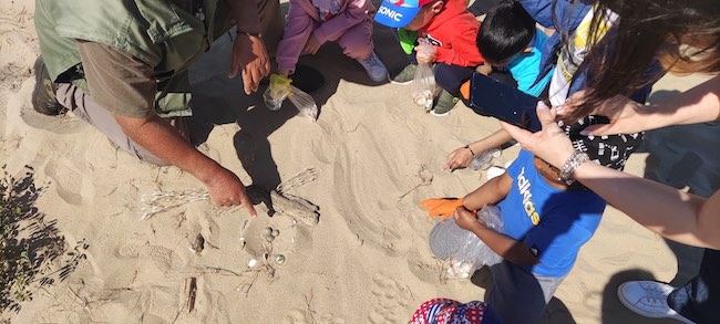 studenti spiaggia termoli