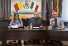 tirocini extracurriculari