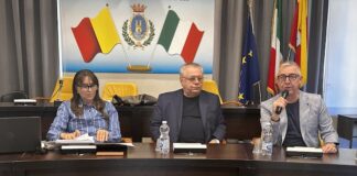 tirocini extracurriculari