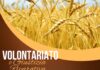 volontariato e giustizia riparativa