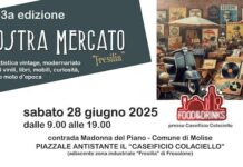 3° mostra mercato fresilia
