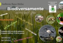 biodiversivamente 13-14 giugno 2025