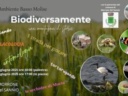 biodiversivamente 13-14 giugno 2025