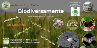 biodiversivamente 13-14 giugno 2025