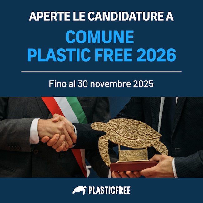 candidature comune plastic free 2026