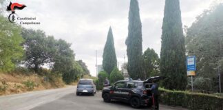 carabinieri campobasso