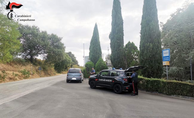 carabinieri campobasso