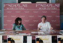 conferenza vinilici
