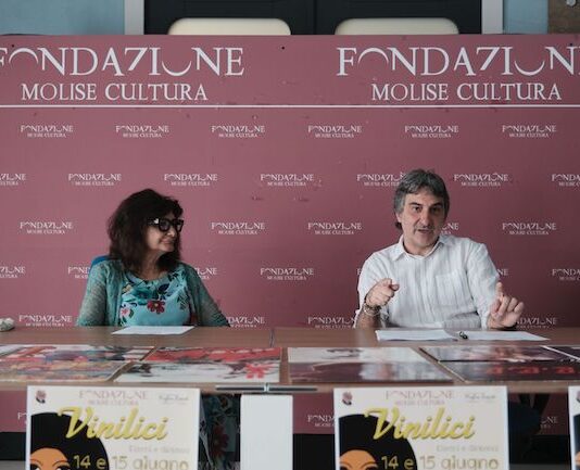 conferenza vinilici