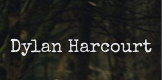 dylan harcourt tour estivo 2025
