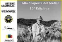 mostra la mietitura jelsi